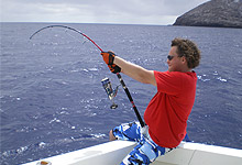 Dog Tooth Tuna fight at Round Island